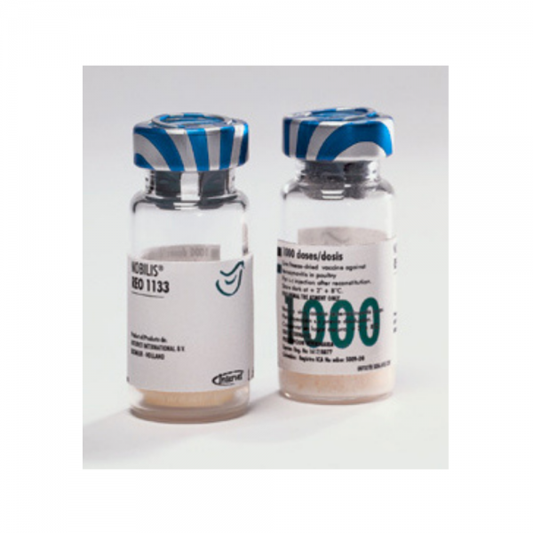 Nobilis Reo 1133