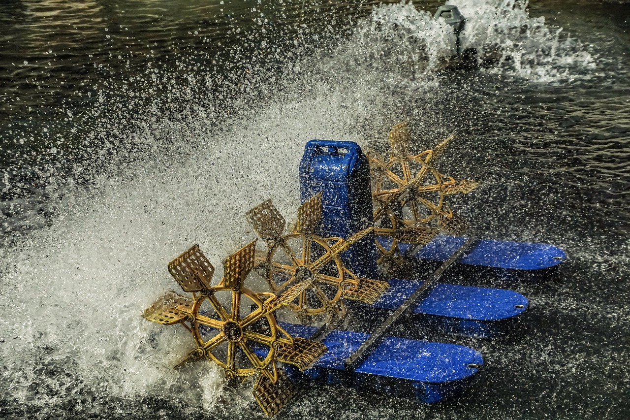GIỚI THIỆU 4 paddle wheel, aerator, splash-4544791.jpg