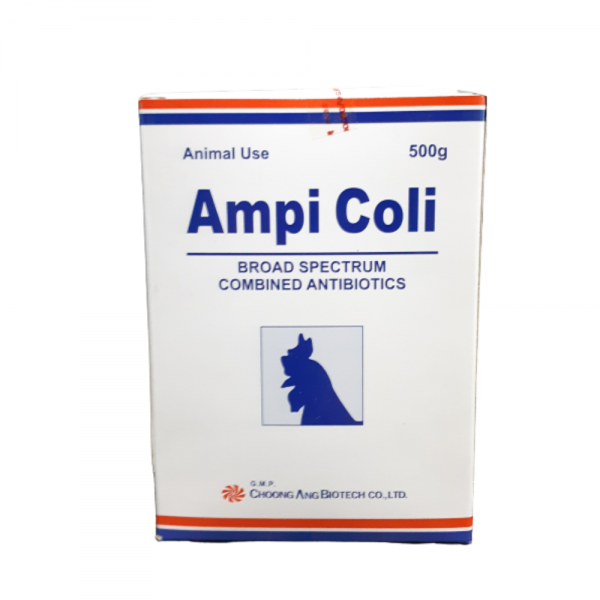 Ampi Coli
