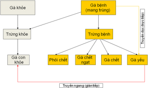 So do truyen lay benh thuong han ga